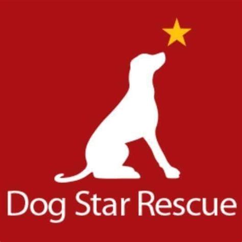 Dog star rescue - 